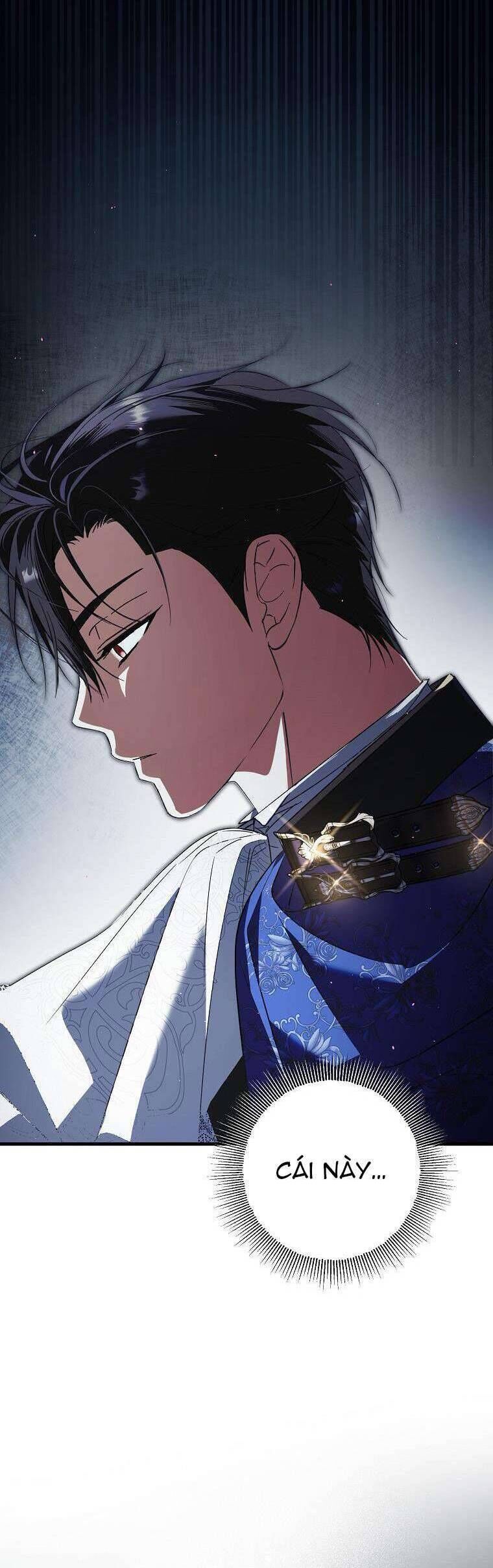 Các Nam Chính Đã Bị Nữ Phụ Cướp Mất [Chap 0-61]