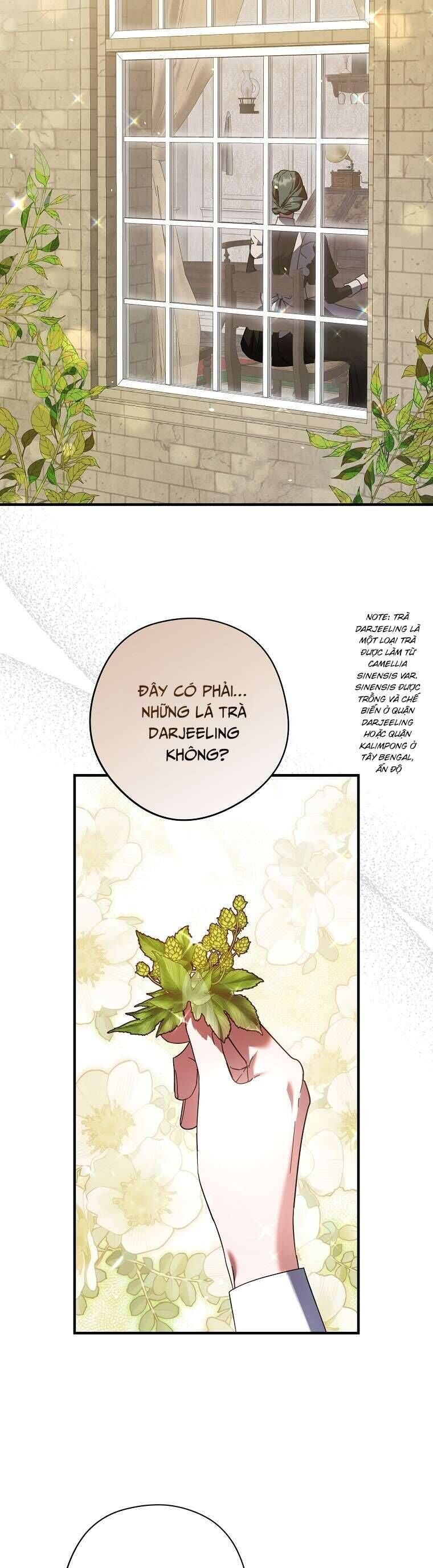 Các Nam Chính Đã Bị Nữ Phụ Cướp Mất [Chap 0-61]