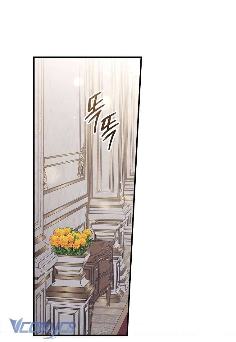Các Nam Chính Đã Bị Nữ Phụ Cướp Mất [Chap 0-61]