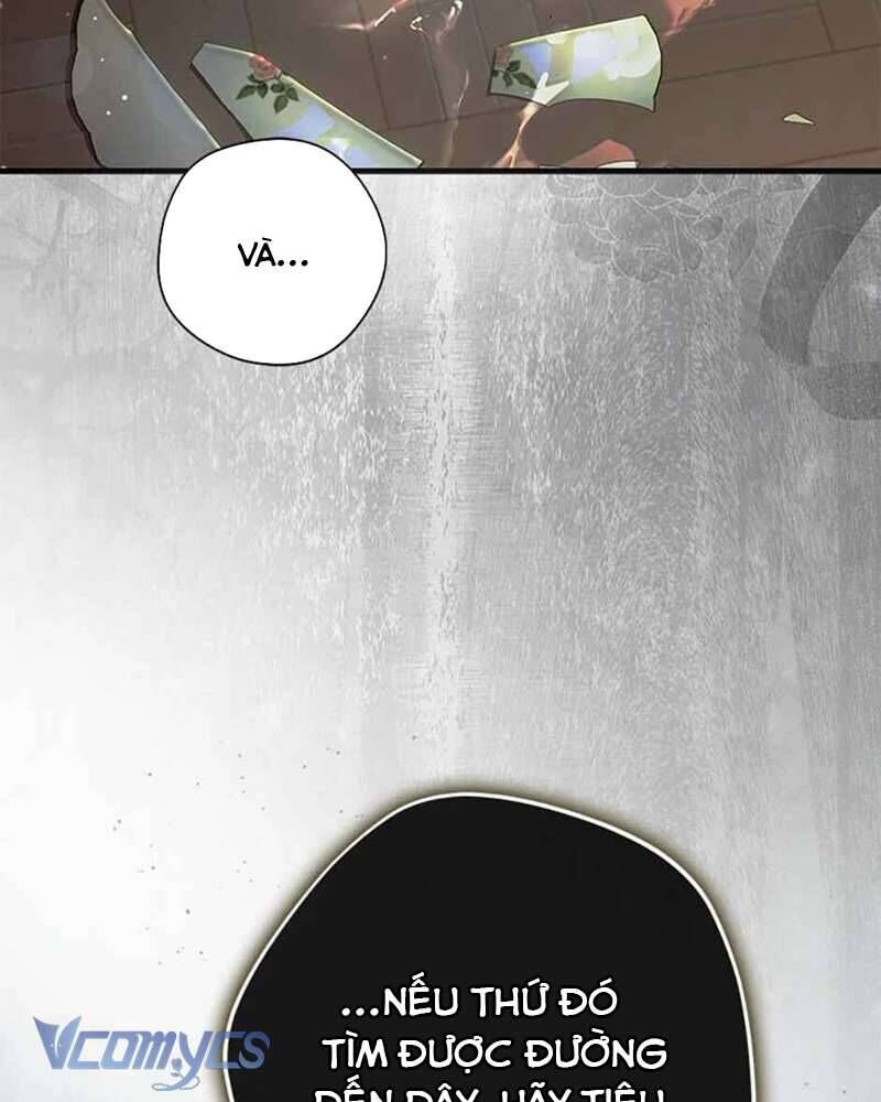 Các Nam Chính Đã Bị Nữ Phụ Cướp Mất [Chap 0-61]
