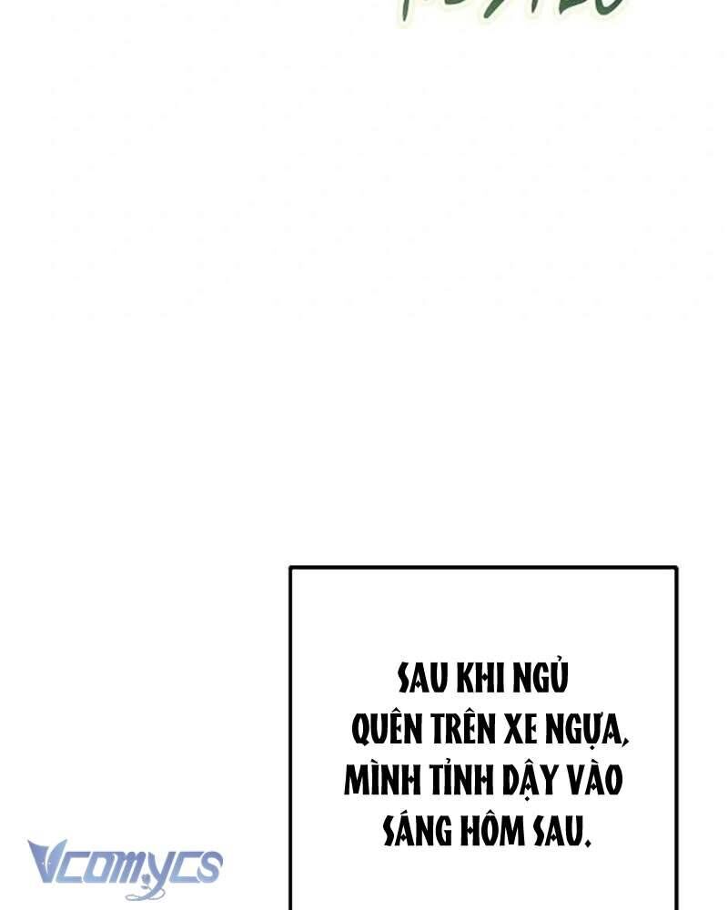 Các Nam Chính Đã Bị Nữ Phụ Cướp Mất [Chap 0-61]