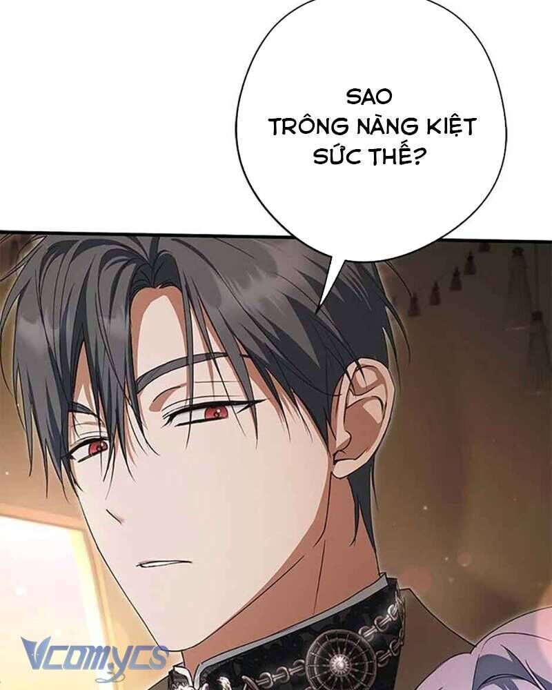 Các Nam Chính Đã Bị Nữ Phụ Cướp Mất [Chap 0-61]