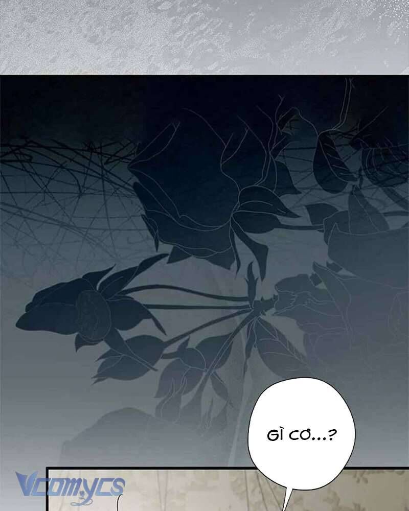 Các Nam Chính Đã Bị Nữ Phụ Cướp Mất [Chap 0-61]
