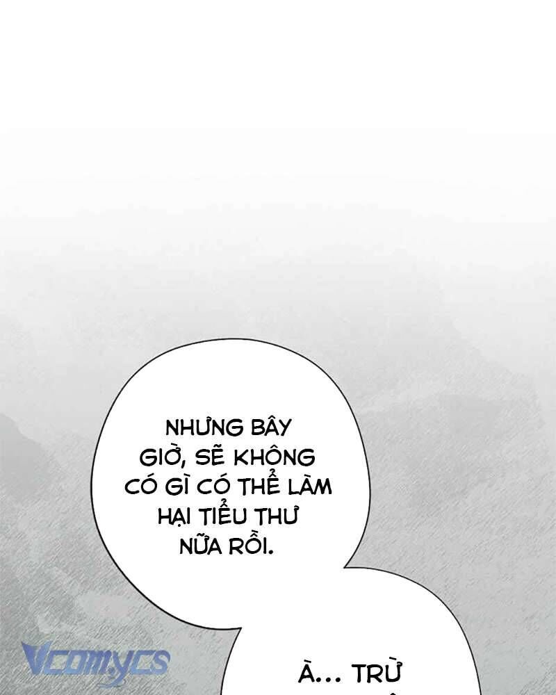 Các Nam Chính Đã Bị Nữ Phụ Cướp Mất [Chap 0-61]