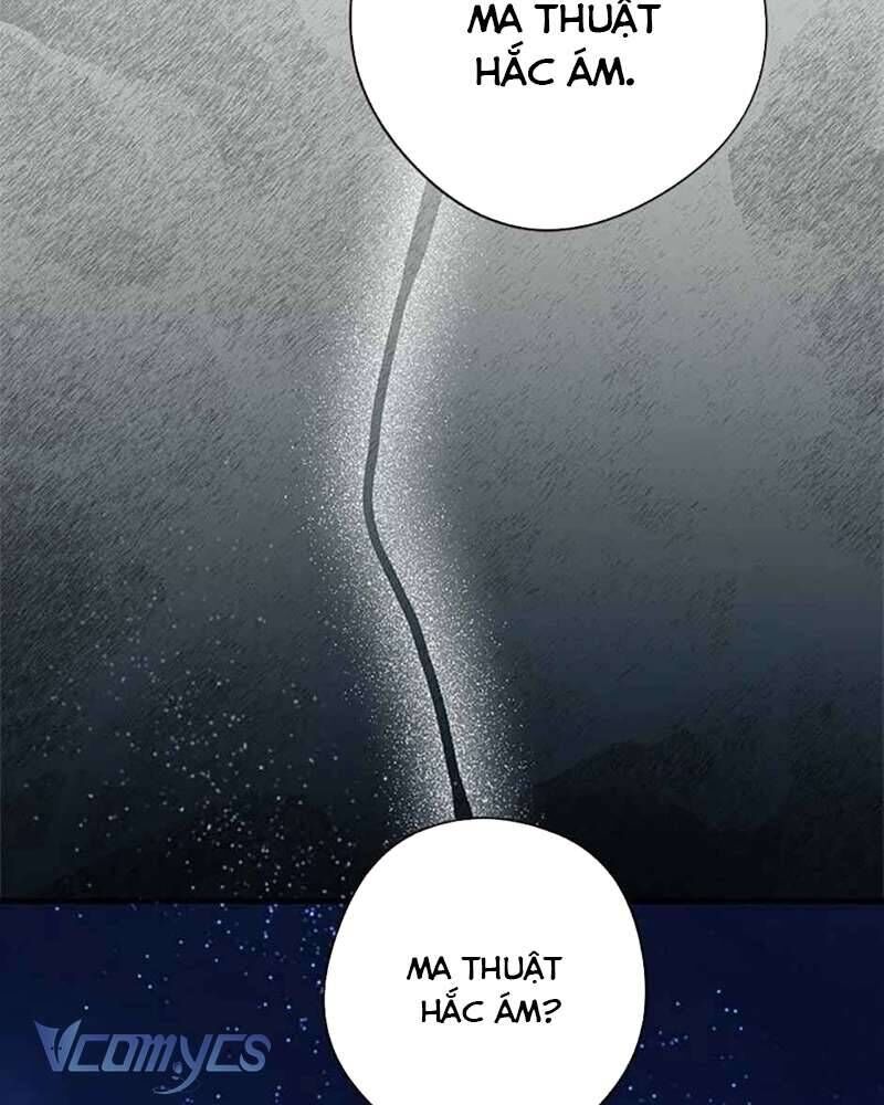 Các Nam Chính Đã Bị Nữ Phụ Cướp Mất [Chap 0-61]