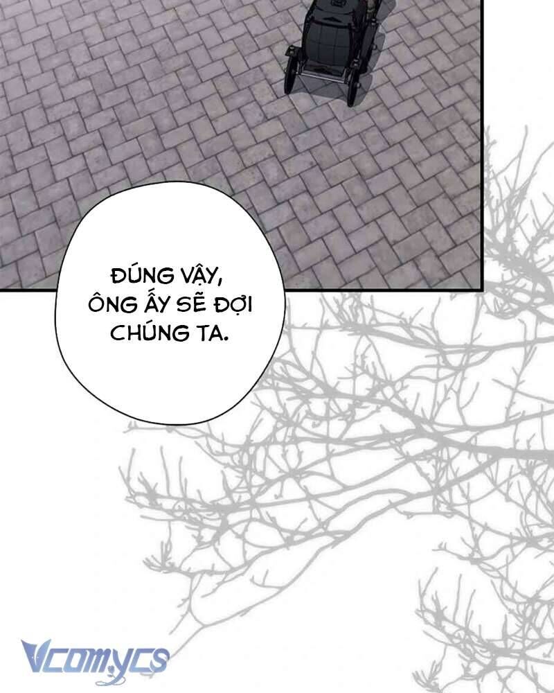 Các Nam Chính Đã Bị Nữ Phụ Cướp Mất [Chap 0-61]