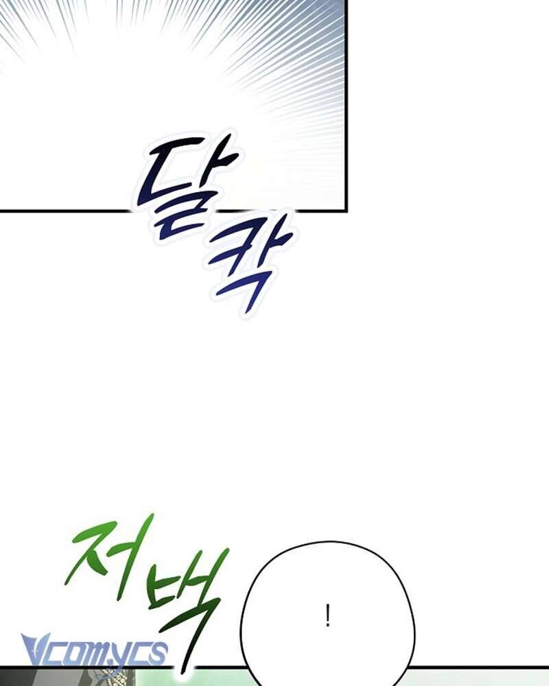 Các Nam Chính Đã Bị Nữ Phụ Cướp Mất [Chap 0-61]