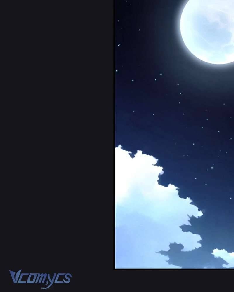 Các Nam Chính Đã Bị Nữ Phụ Cướp Mất [Chap 0-61]