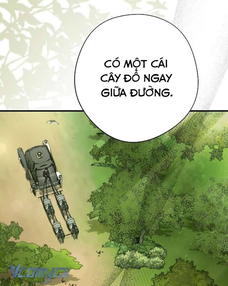 Các Nam Chính Đã Bị Nữ Phụ Cướp Mất [Chap 0-61]