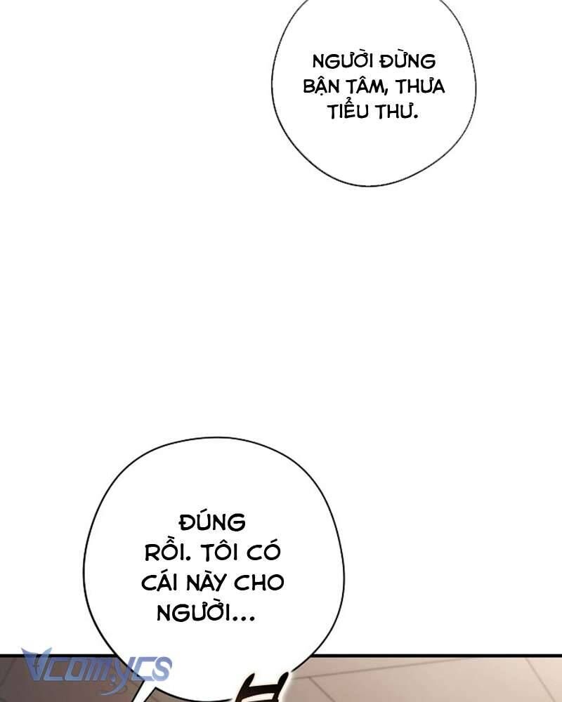 Các Nam Chính Đã Bị Nữ Phụ Cướp Mất [Chap 0-61]