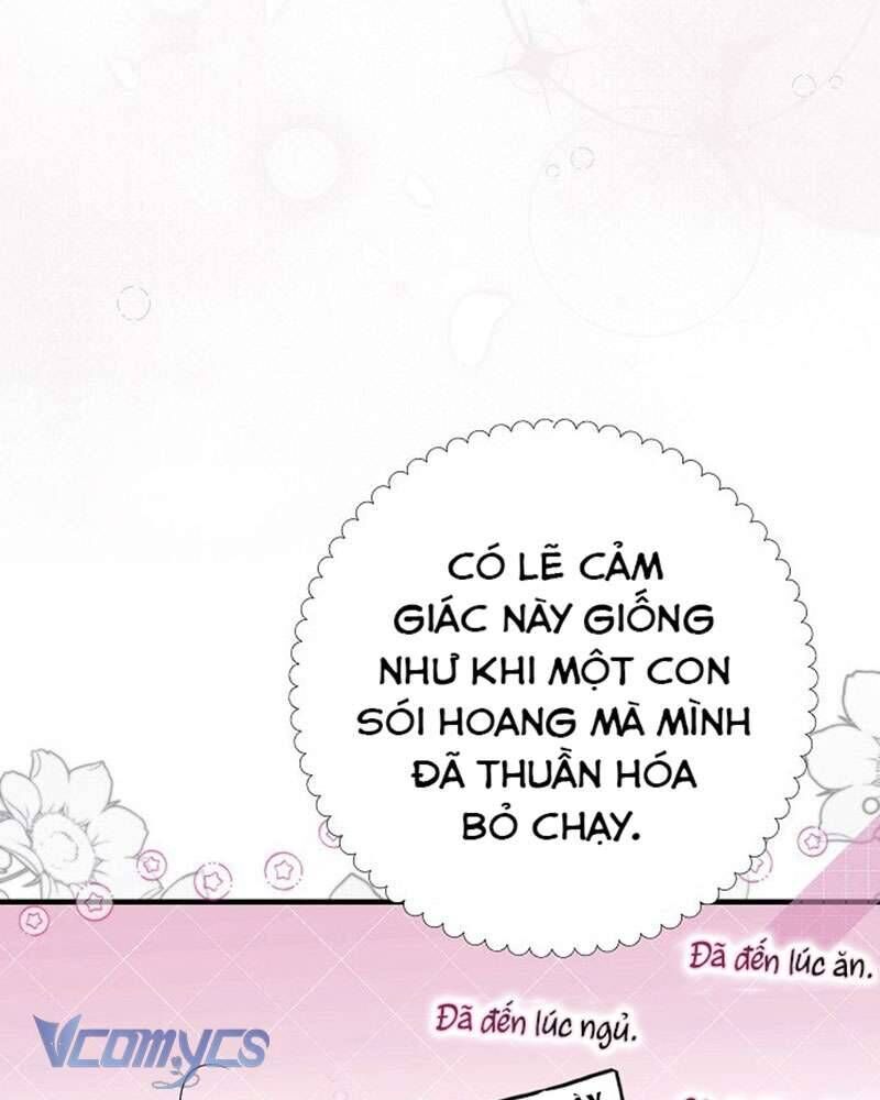 Các Nam Chính Đã Bị Nữ Phụ Cướp Mất [Chap 0-61]