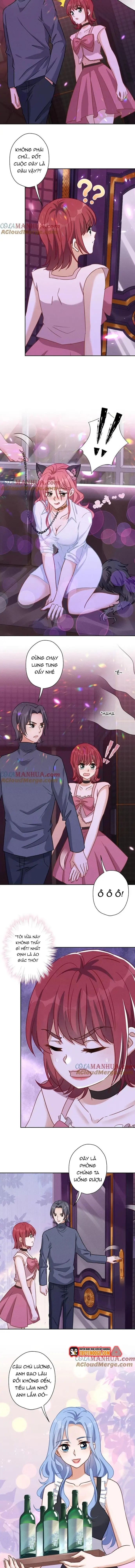 Long Vương Điện: Người Ở Rể Giàu Nhất Chapter 137 - TC Truyện