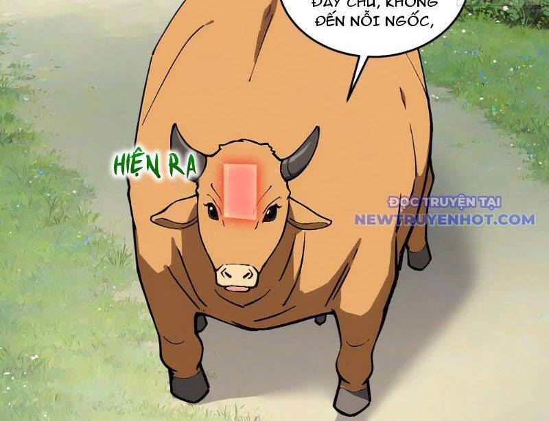 Bách Thê Phổ Thánh Nữ Đều Gọi Ta Là Phu Quân [Chap 1-66]