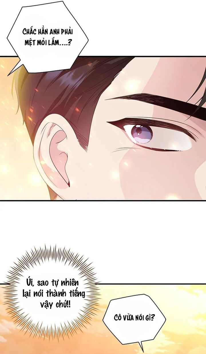 page_22.jpg