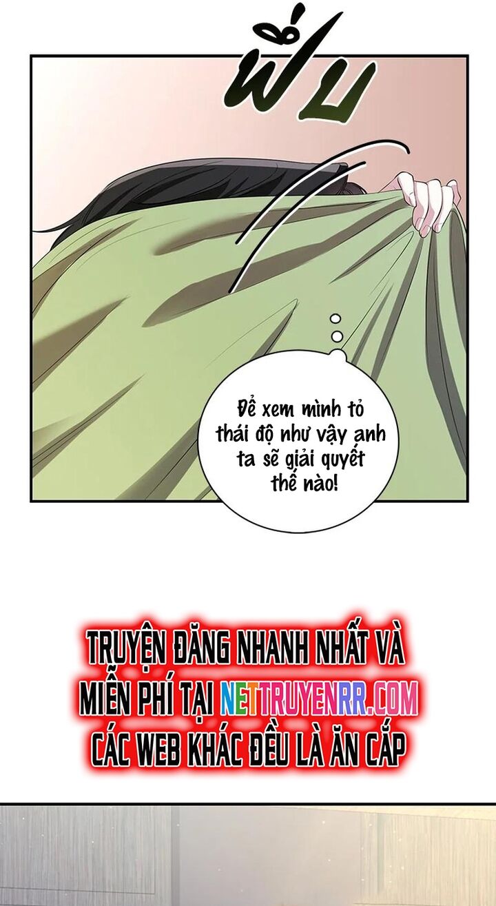 page_19.jpg