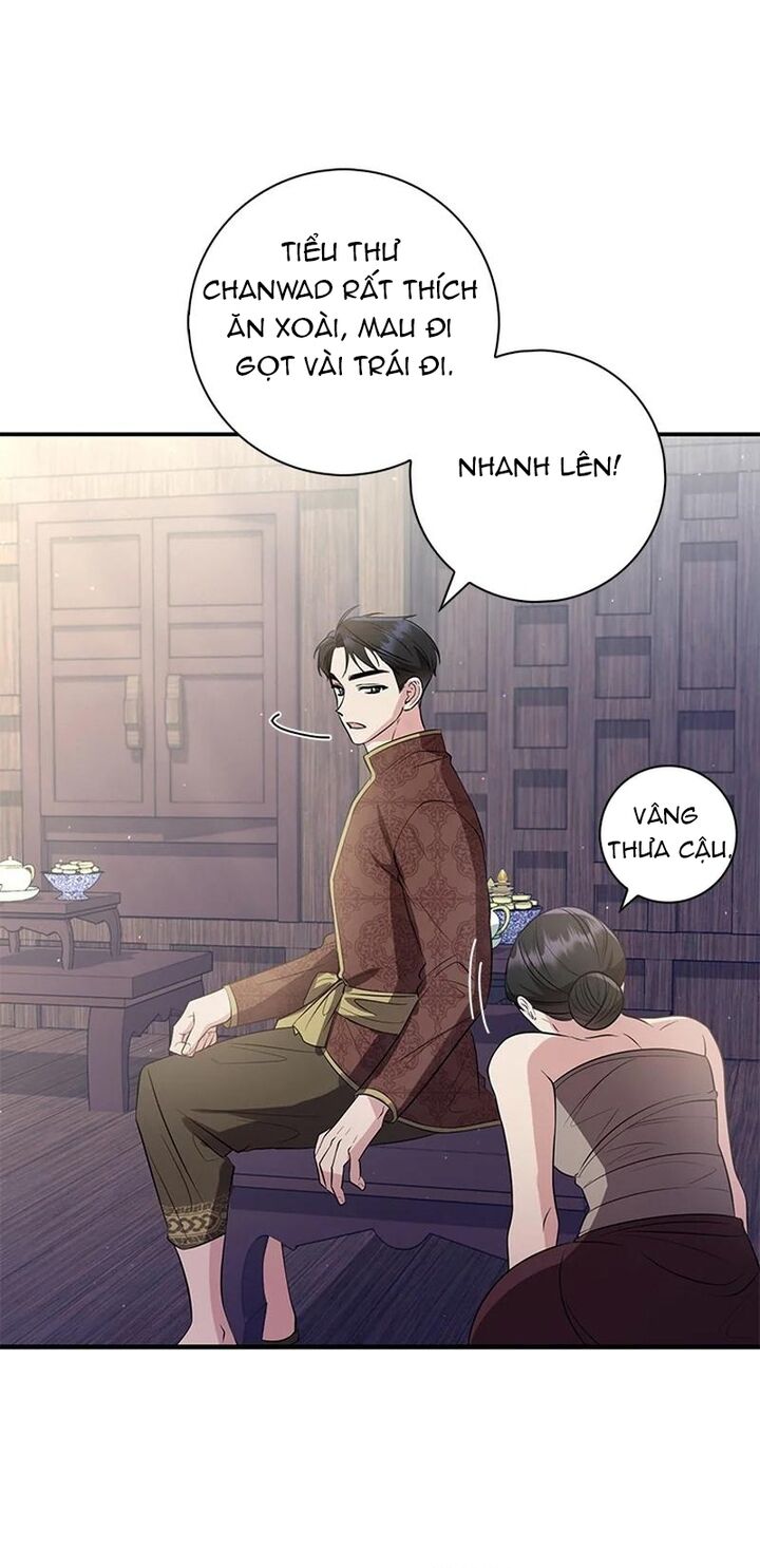page_29.jpg