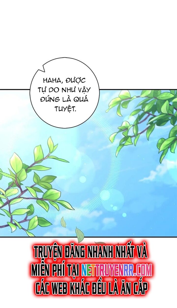 page_46.jpg