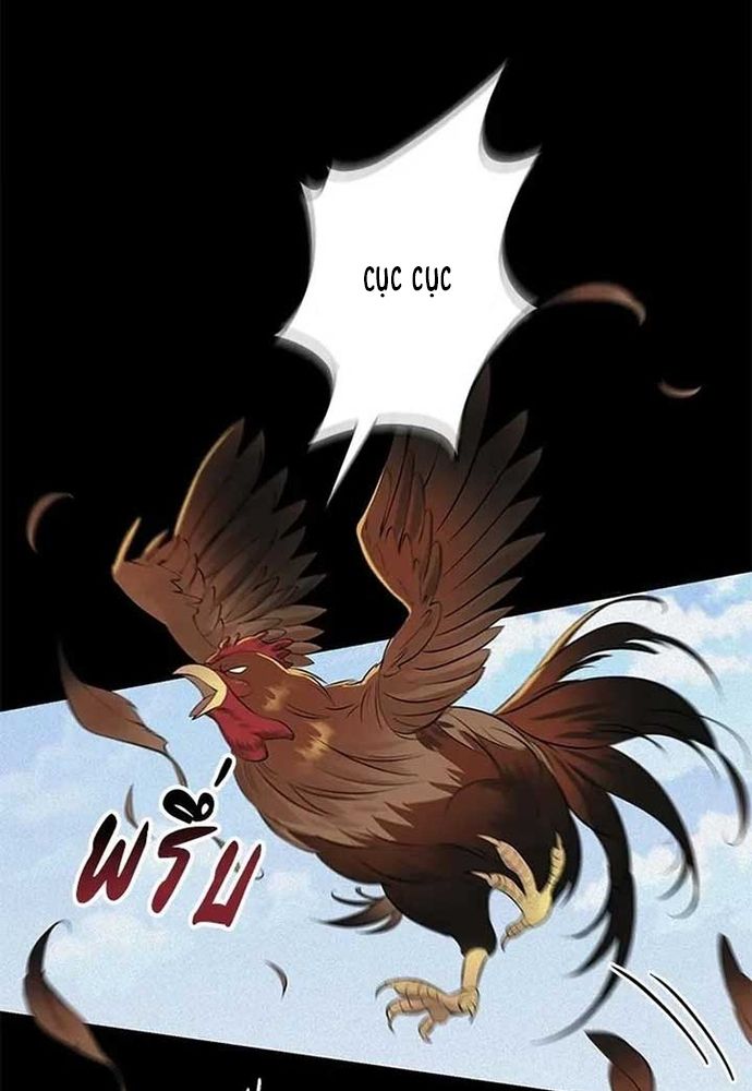 page_24.jpg