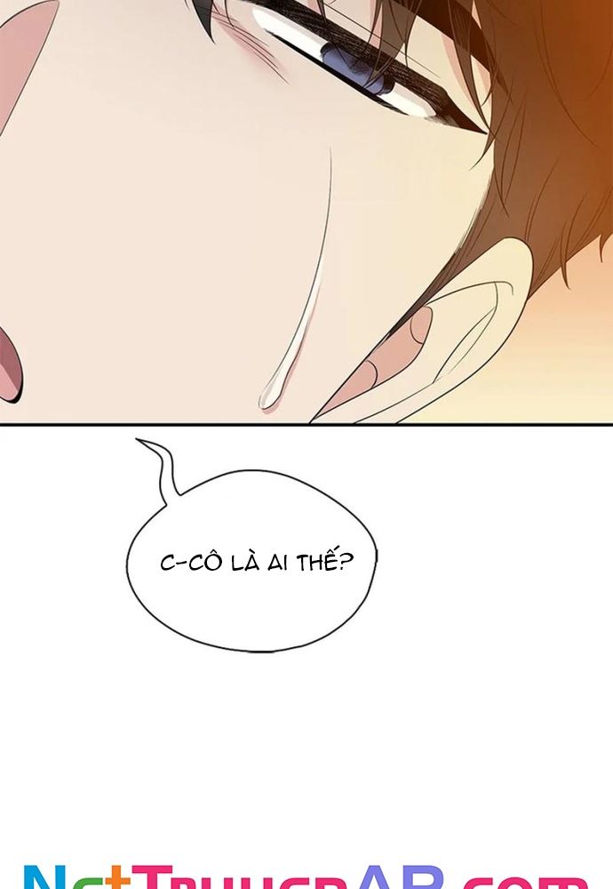 page_55.jpg