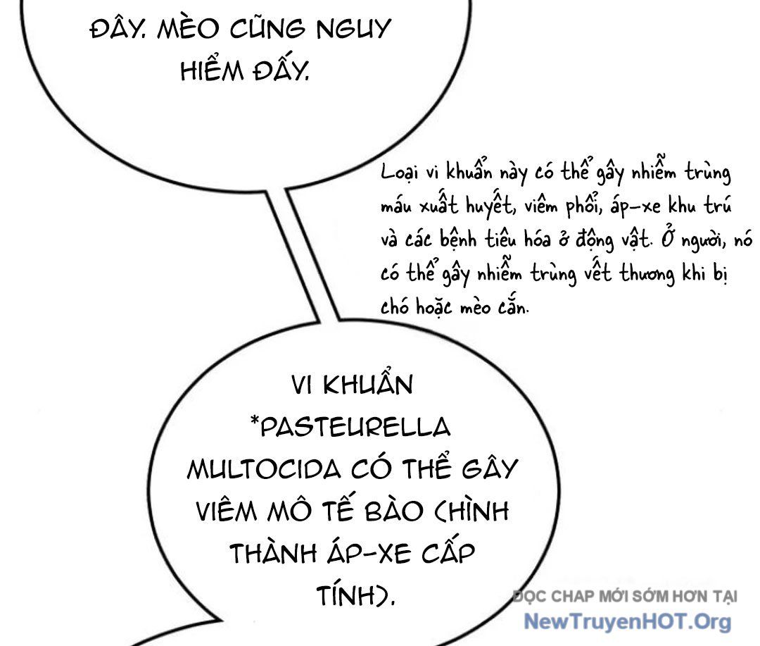 Trang truyện