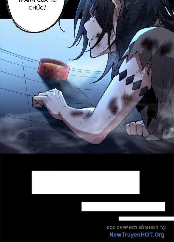 Ranker Sss Được Chọn 2