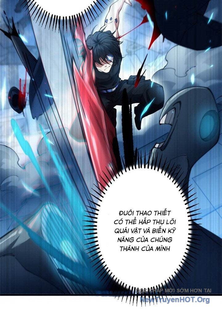 Ranker Sss Được Chọn 2