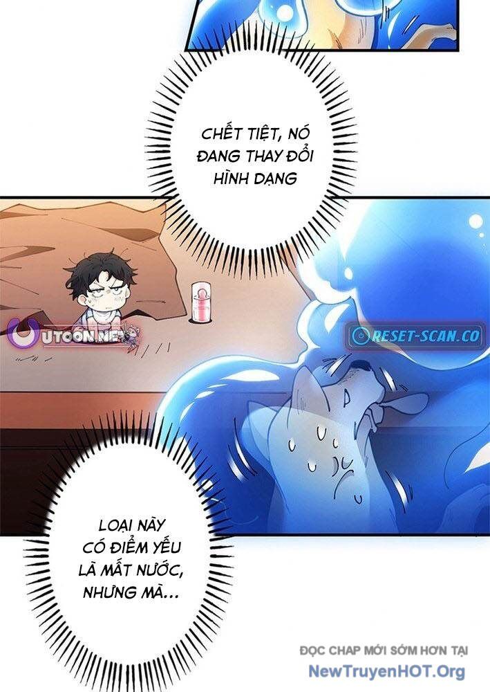 Ranker Sss Được Chọn 3