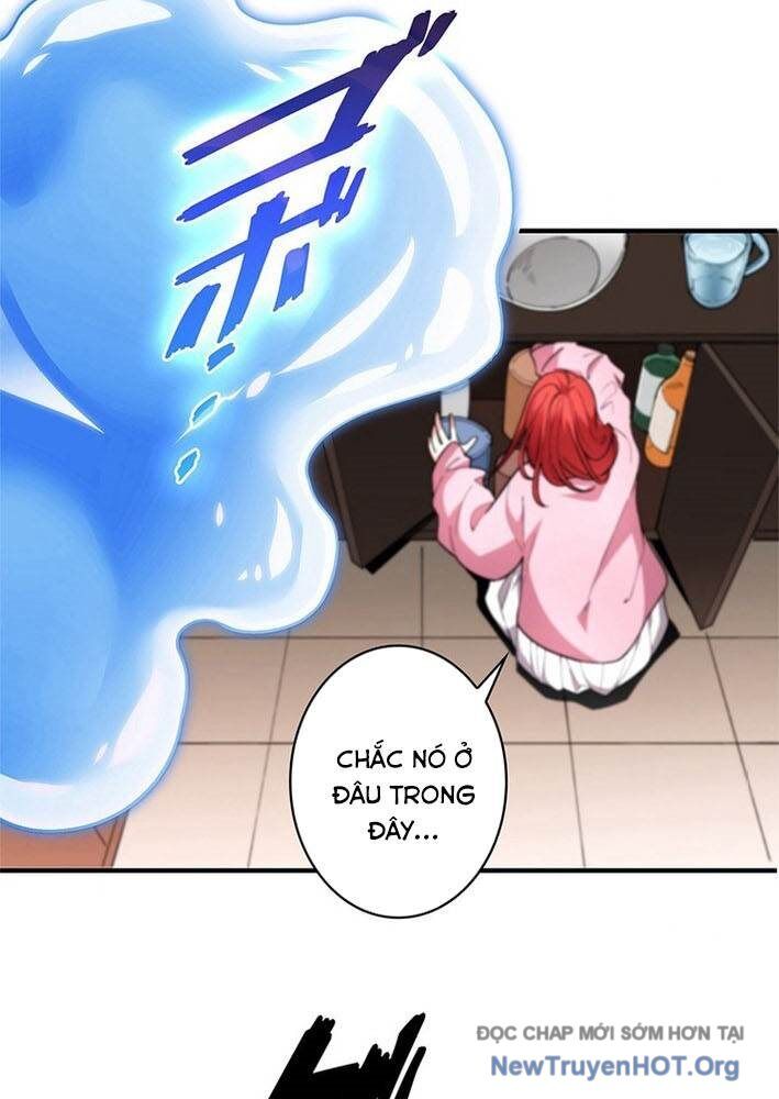 Ranker Sss Được Chọn 3