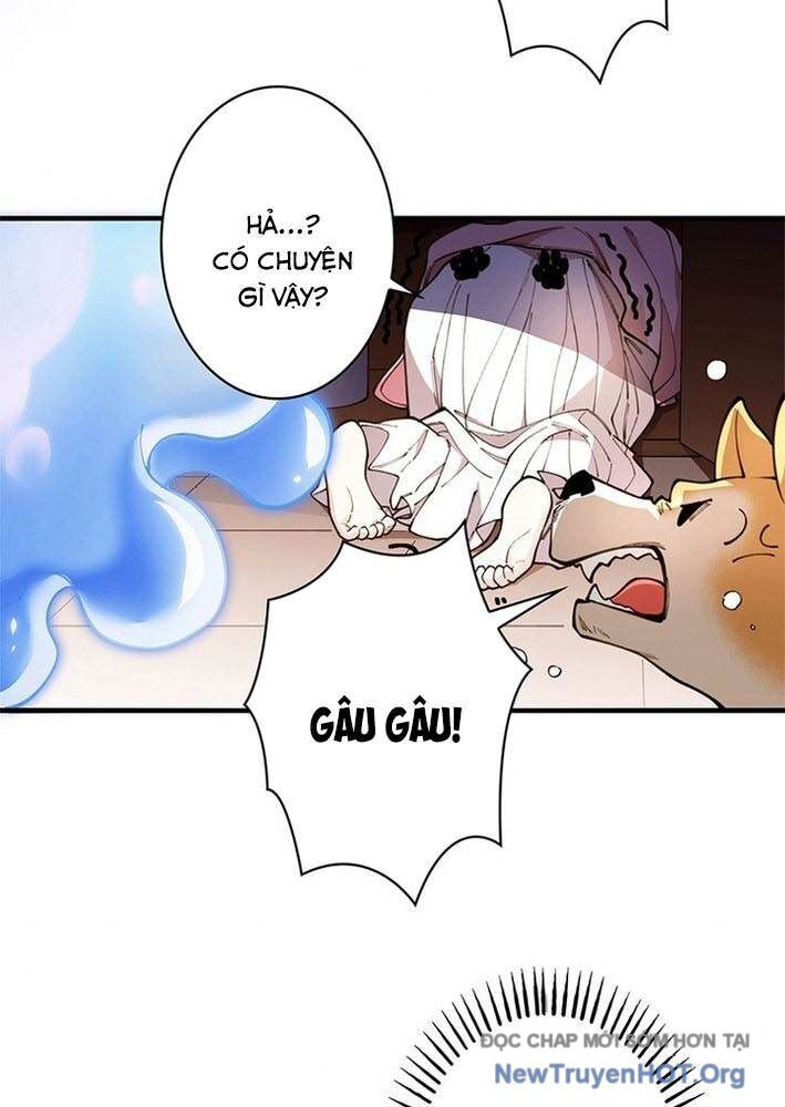 Ranker Sss Được Chọn 3
