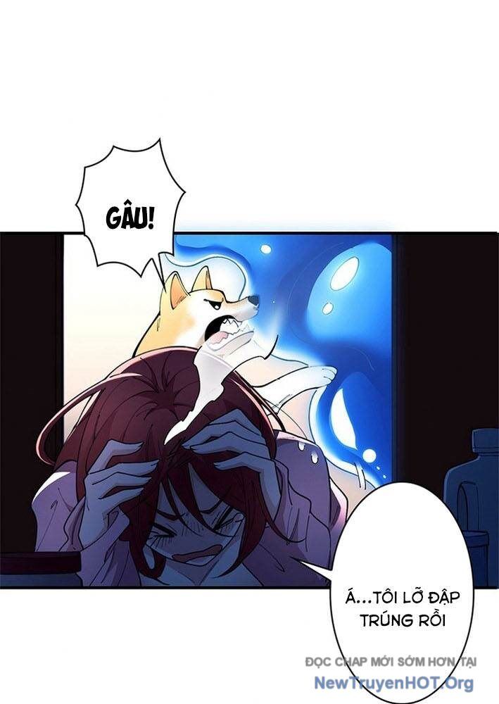 Ranker Sss Được Chọn 3