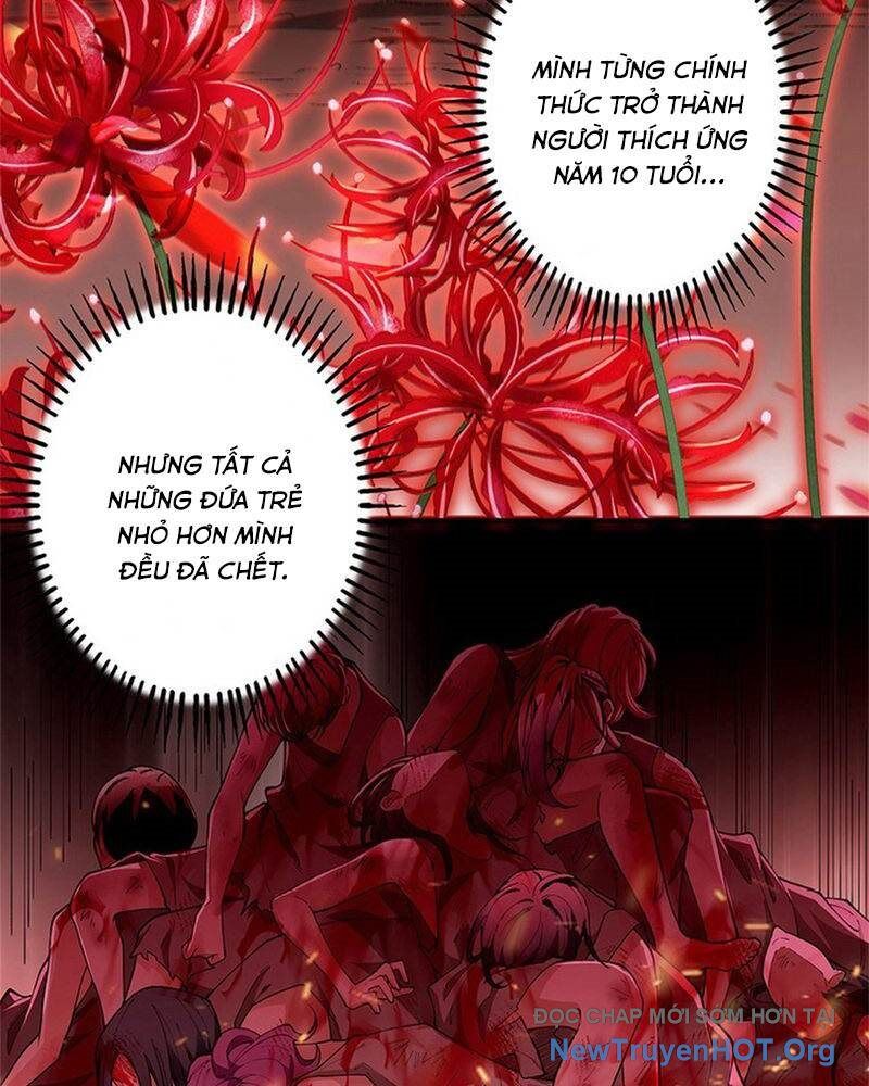 Ranker Sss Được Chọn 4