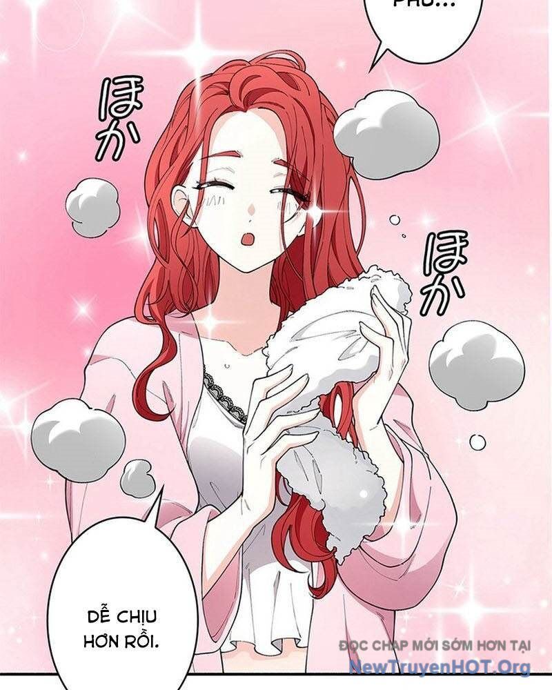 Ranker Sss Được Chọn 4
