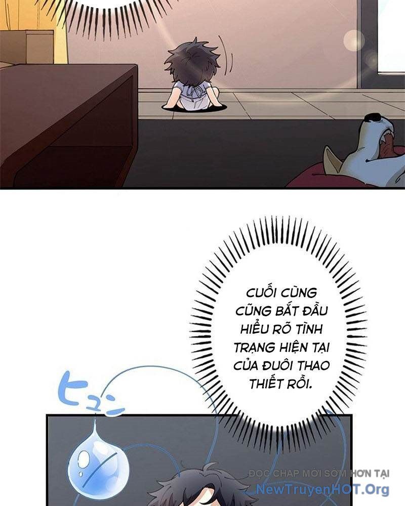 Ranker Sss Được Chọn 4