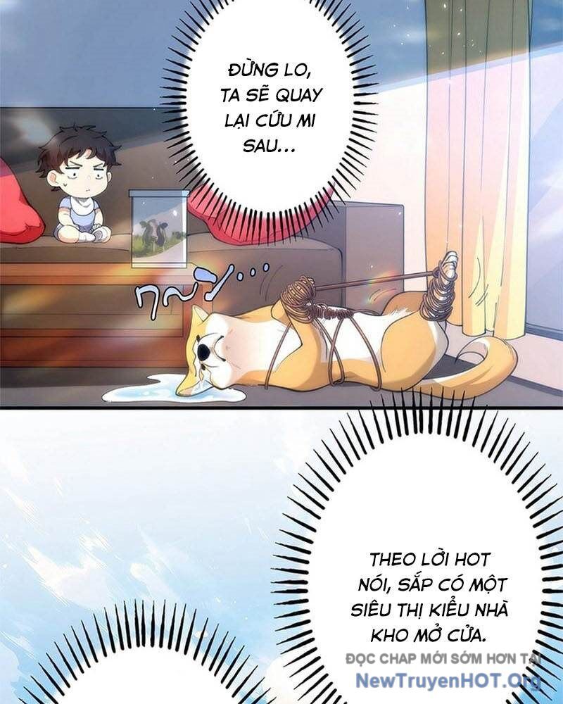 Ranker Sss Được Chọn 6