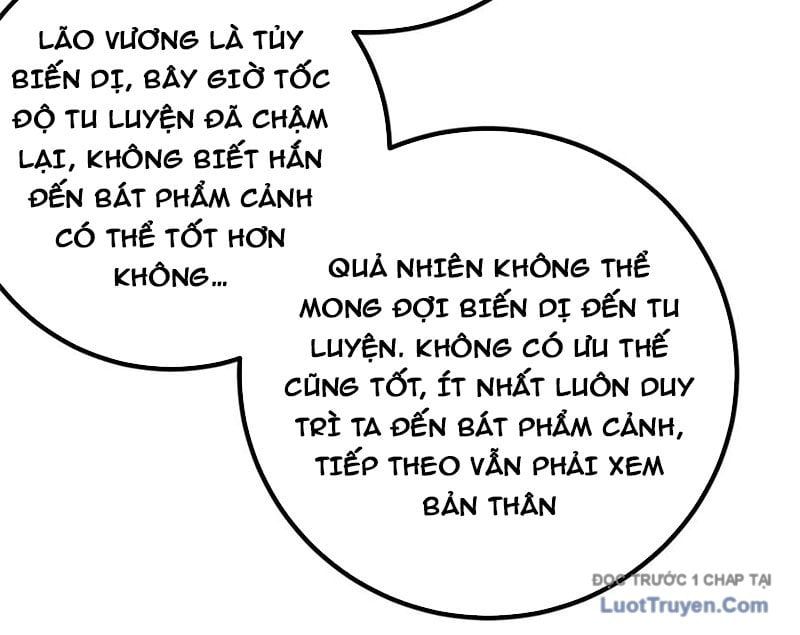 Toàn Cầu Cao Võ 330