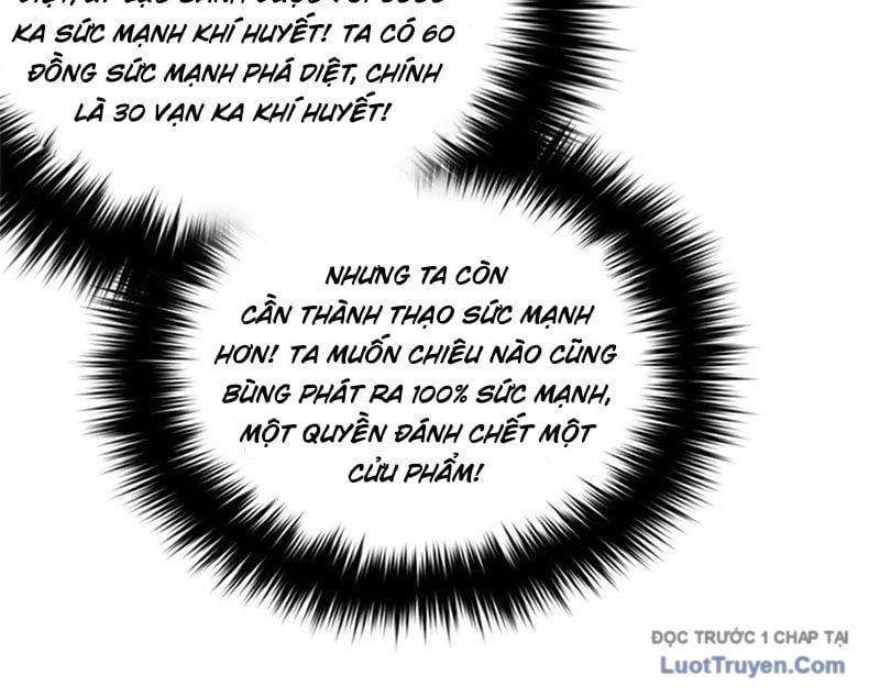 Toàn Cầu Cao Võ 330
