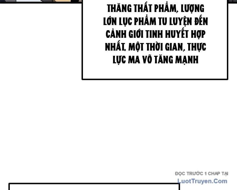 Toàn Cầu Cao Võ 330