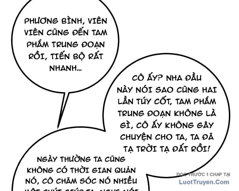 Toàn Cầu Cao Võ 330