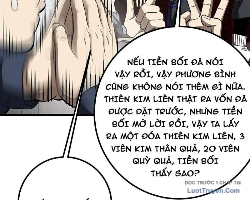Toàn Cầu Cao Võ 330