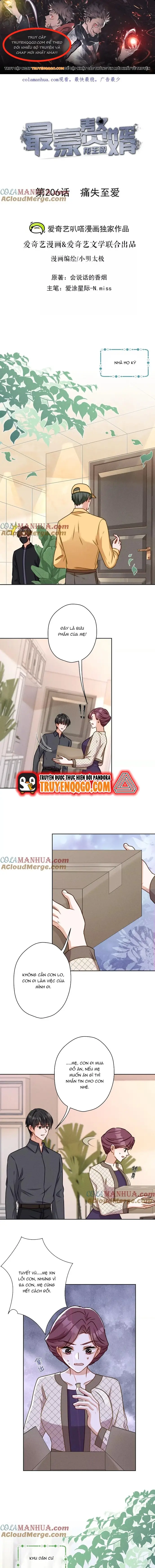 Long Vương Điện: Người Ở Rể Giàu Nhất Chapter 206 - TC Truyện