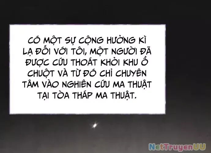 Đại Pháp Sư Của Tổ Đội Hồi Quy 0