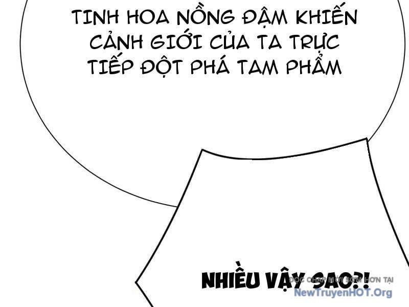 Hóa Ra Các Cô Ấy Mới Là Nhân Vật Chính