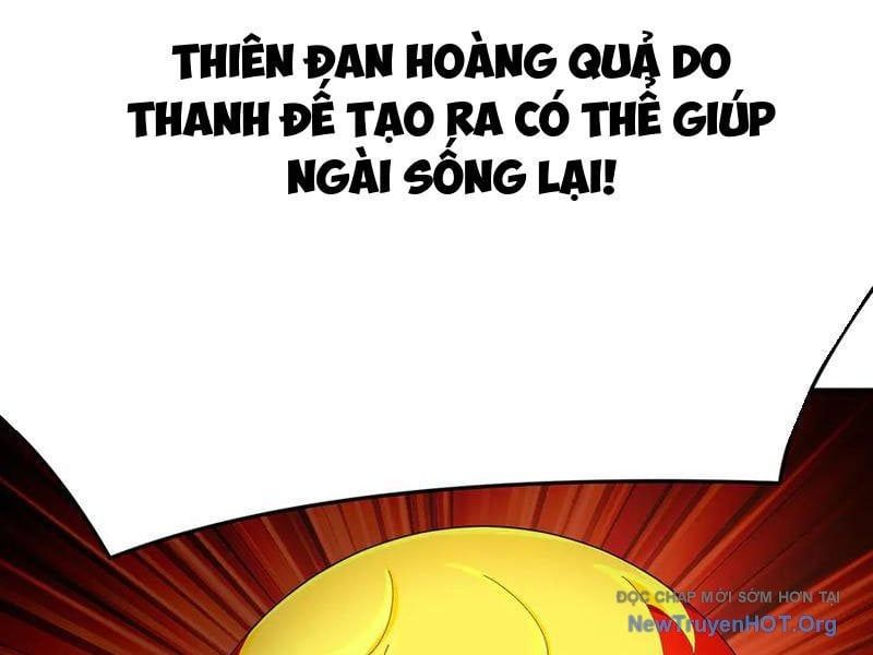 Hóa Ra Các Cô Ấy Mới Là Nhân Vật Chính