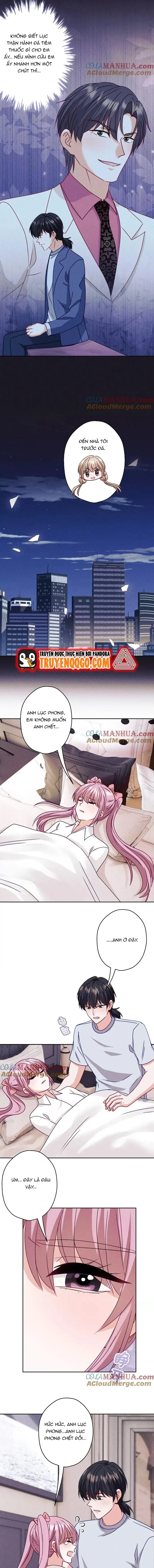 Long Vương Điện: Người Ở Rể Giàu Nhất Chapter 219 - TC Truyện