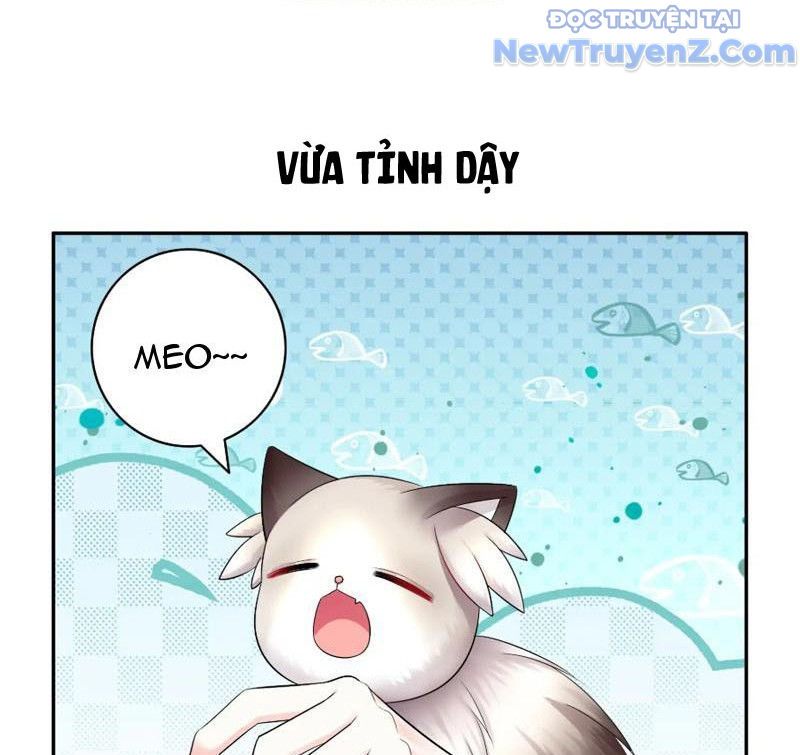 Sau Khi Mẹ Bị Giết, Tôi Trở Thành Miêu Nương 9