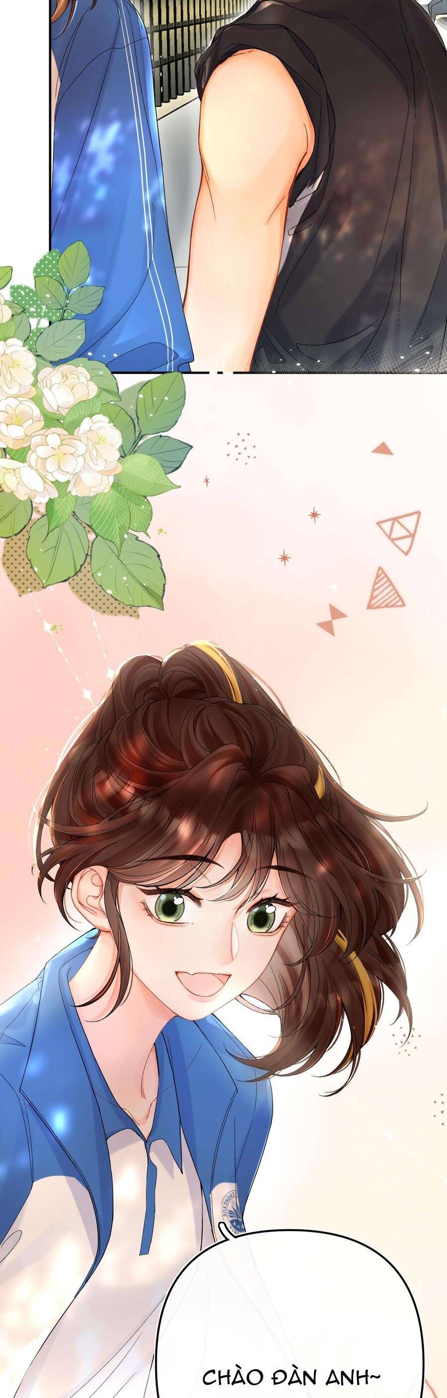 Trang truyện