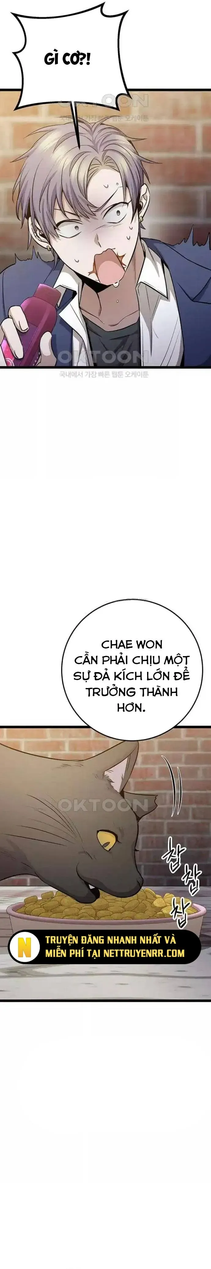 Trang truyện