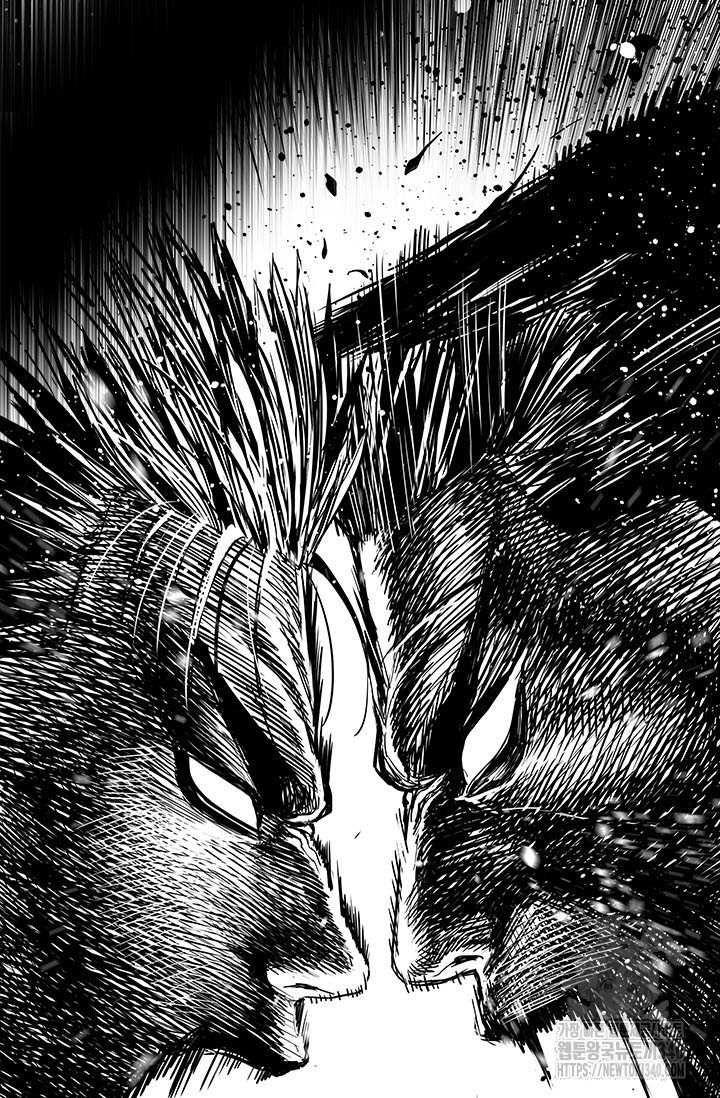Chapter 214 - Image 29