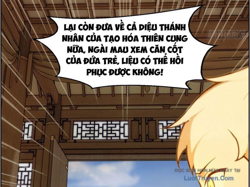 Nghịch Tập Từ Trong Bụng Mẹ: Vừa Sinh Ra Đã Là Vô Địch 3