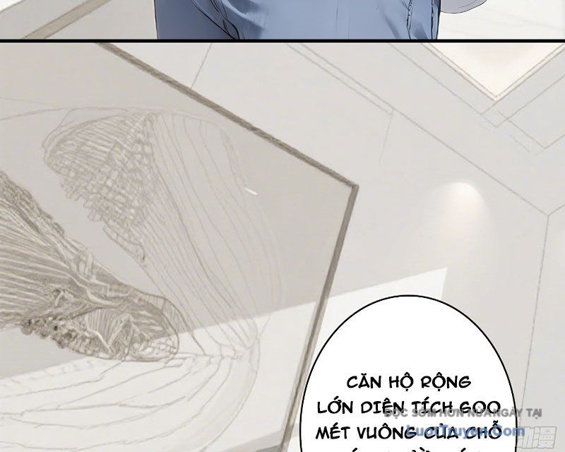 Hệ Thống Hoàn Tiền: Vô Hạn Tự Do Tài Chính 3